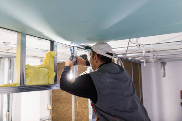 Best Residential Insulation in Pleasant Ridge, MI