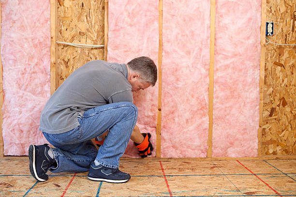 Best Residential Insulation in Pleasant Ridge, MI
