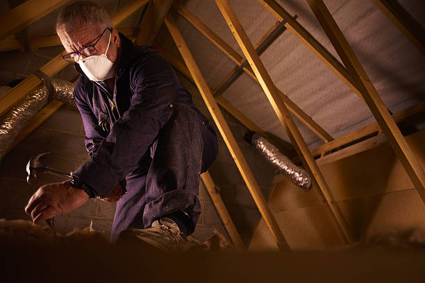 Best Energy Efficiency Solutions in Pleasant Ridge, MI